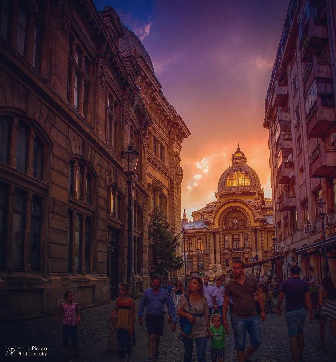 Tours by locals | Meet your local guide with showaround.com